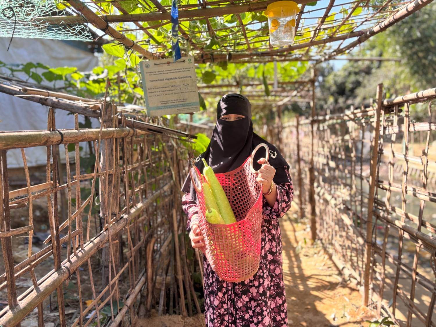 Harvesting Hope Project Cox&rsquo;s Bazar
