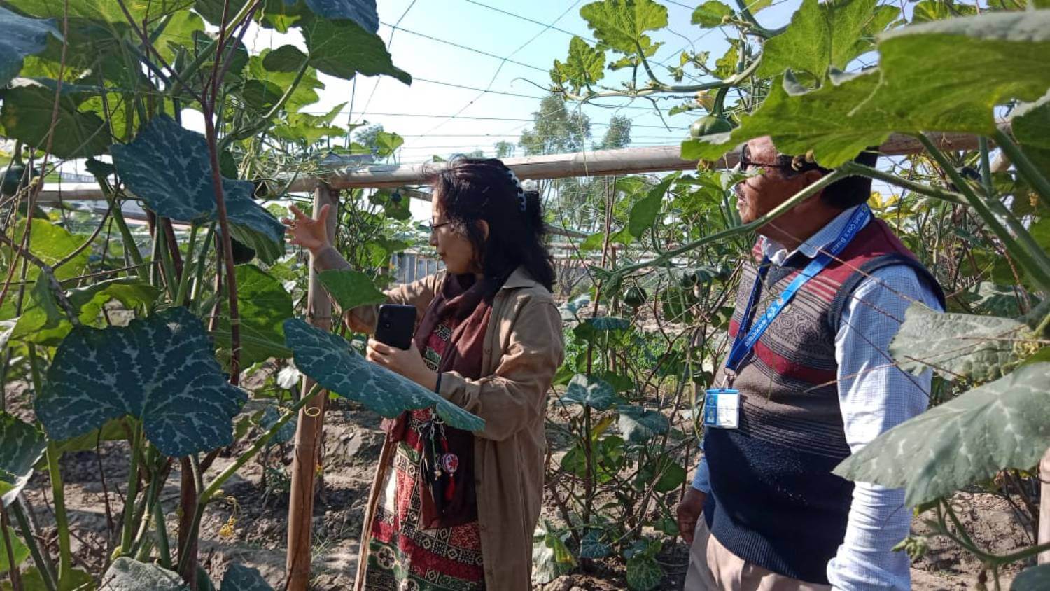 Livelihood Improvement Project (LIP)